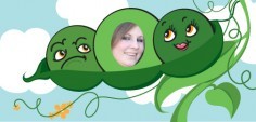 Tawny B.