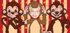 Allison B.