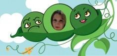 Amr E.