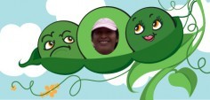 Jann G.