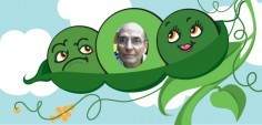 Bob M.