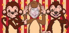 Kandi S.