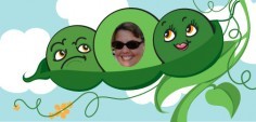 Lori R.