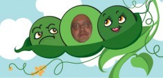 Ray M.