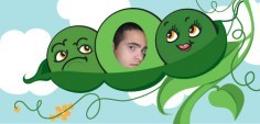 Raul R.
