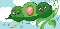 Christy B.