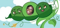Kimberly P.