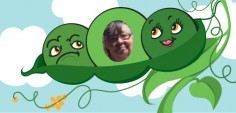 Carol G.