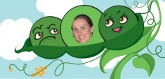 Candace M.