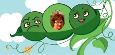 Kim M.