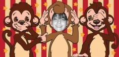 Terri C.