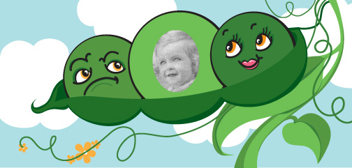 Suzanne N.