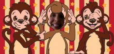 Sandy P.