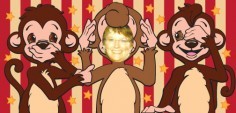 Marjorie C.