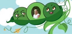 Paula S.