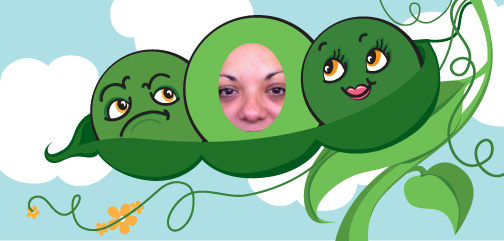Magliz C.
