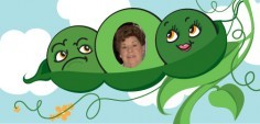 Sue C.