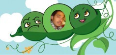 Lawna N.