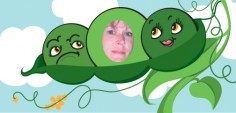 Brenda C.