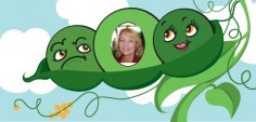 Diane N.