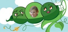 Kirstin M.