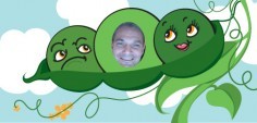 Mark D.