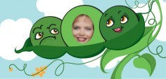 Rachelle B.