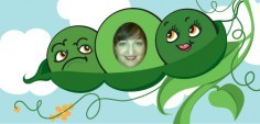 Trudy B.