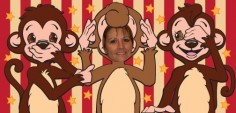 Sonja H.