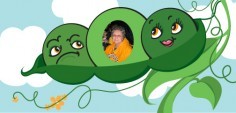 Jeanette Z.