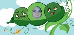 Ashley N.