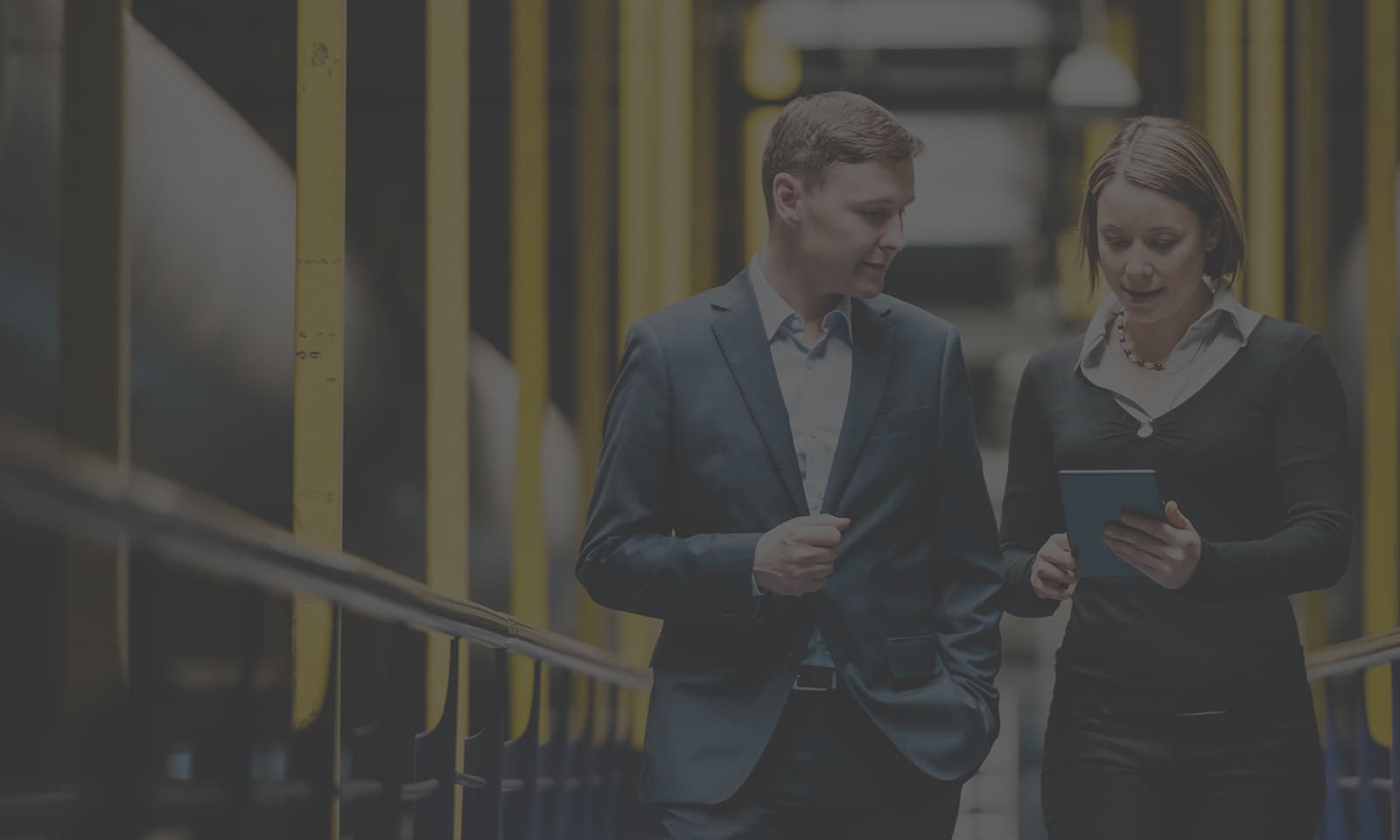 IT professional consulting with client